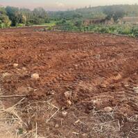 Bán 6.000m2 Đất CLN Giá Ngộp – Phường Khánh Xuân, Buôn Ma Thuột