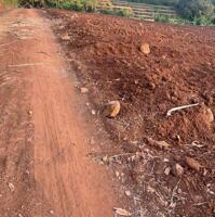 Bán 6.000m2 Đất CLN Giá Ngộp – Phường Khánh Xuân, Buôn Ma Thuột