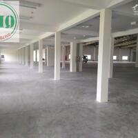 Cho Thuê Nhà Xưởng dt 10.000m2 tại kcn  Biên Hòa 2 - Đồng Nai.