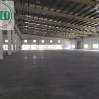 Cho Thuê Nhà Xưởng dt 10.000m2 tại kcn  Biên Hòa 2 - Đồng Nai.