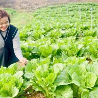 BÁN GẤP NỀN ĐẤT NGAY KHU DU LỊCH ĐỒI CHÈ TÂM CHÂU, CHỦ KẸT TIỀN BÁN GẤP