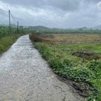 Cần bán vườn bưởi Khánh Trung, Khánh Vĩnh, Khánh Hòa