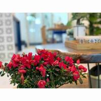 Cc cần bán nhà 2 tầng kiệt Huỳnh Ngọc Huệ, giá sập hầm chỉ hơn 2 tỷ.