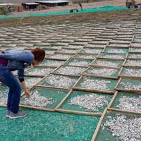 Nhà máy chế biến hải sản Tuy Phong Bình Thuận