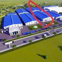 Cho thuê nhà xưởng với nhiều diện tích ở KCN Nam Tân Uyên, Bình Dương