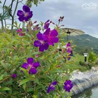 AMAN BLAO – NGHỈ DƯỠNG CHUẨN SANG, SINH LỜI BỀN VỮNG
