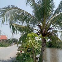 Lô đất mặt sông tại Hoà Nghĩa - Dương Kinh