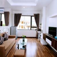 Chính chủ - bán chung cư N1 Lĩnh Nam - Minh Khai - Hoàng Mai, nội thất đầy đủ, sổ hồng vĩnh viễn
