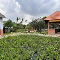 Bán nhà vườn nghỉ dưỡng làng bưởi Tân Bình, Vĩnh Cữu.1800m sổ thổ cư đường oto. Giá 13,5ty