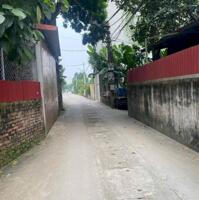 Bán đất Thái Bình Mai Lâm Đông Anh Hà Nội, giá 3 tỷ