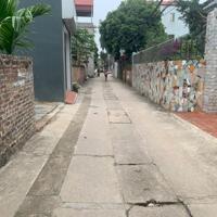 Bán đất Thái Bình Mai Lâm Đông Anh Hà Nội, giá 3 tỷ
