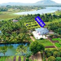 Đất Cưkuin giá rẻ chỉ 169tr sở hữu lô đất 200m2 sẵn TC ra chợ An Bình chỉ 2 phút, tỉnh lộ 100m
