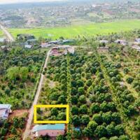 Đất thị xã Buôn Hồ giá rẻ gần trung tâm Buôn Hồ chỉ 369tr có ngay lô đất gần 250m2 sẵn TC