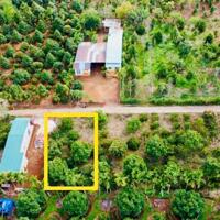 Đất thị xã Buôn Hồ giá rẻ gần trung tâm Buôn Hồ chỉ 369tr có ngay lô đất gần 250m2 sẵn TC