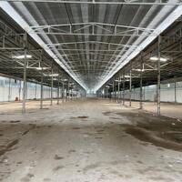 Cho Thuê Hoặc Bán Kho xưởng 8000 m2 QL 1 Hậu Giang