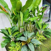 Bán Nhà Villa Đường Nguyễn Viết Song khu phố Xuân Hoà,Thuỷ Vân , TP Huế