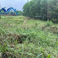 Bán đất 5.700m2 giá rẻ chỉ 2,3 tỷ. xã Thiện Tân-Vĩnh Cửu-Đồng Nai
