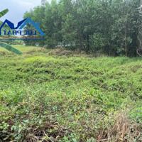 Bán đất 5.700m2 giá rẻ chỉ 2,3 tỷ. xã Thiện Tân-Vĩnh Cửu-Đồng Nai