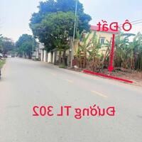 Bán đất kinh doanh mặt đường TL302, Hương Sơn, Bình Xuyên, Vĩnh Phúc.