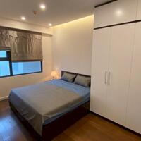 Bán gấp căn hộ 2 ngủ 77m2 SHLD tại Vinhomes D''Capitale