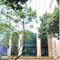 Cho thuê văn phòng MBKD, tại Phan Đình Phùng Ba Đình Hà Nội.