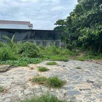 *Cho thuê kho xưởng*1500m2 gần đường Cầu Xây, Tân Phú, Quận 9