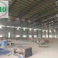 Cho thuê 6.000m2 nhà xưởng trong KCN Mỹ Phước, Bình Dương