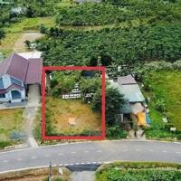 19x43m có 400m thổ cư mặt tiền Đinh Công Tráng Bảo Lộc.
