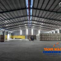 THUÊ KHO ĐA DẠNG DIỆN TISHC- ƯU ĐÃI DỊCH VỤ TOÀN DIỆN