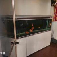 Bán gấp nhà 3 tầng MT KD Tống Phước Phổ, TT HẢI CHÂU, giá chỉ nhỉnh hơn 9 tỷ.