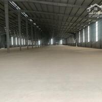 Cho thuê kho xưởng DT 4000m2- 8000m2 tại Gia Lộc Hải Dương.