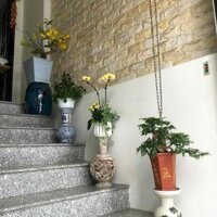 Cc cần bán gấp nhà 4 tầng MT KD ĐỈNH CAO Tống Phước Phổ, TT HẢI CHÂU, giá chỉ nhỉnh 8 tỷ.