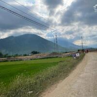 HOT HOT. Hạ 900 triệu. Còn 2 tỷ 900 cho gần 1ha đất Cây Hàng Năm xã  Vạn Lương Vạn Ninh Khánh Hòa