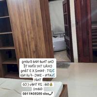 Cho Thuê Nhà 3 Tầng Đường CHÂU THỊ VĨNH TẾ