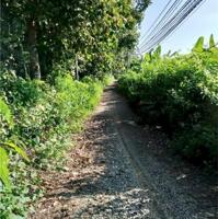 Bán 10.000m2 đất gần khu công nghiệp, Xã Ngọc Định, Định Quán, tìm người thiện chí