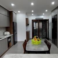 Cần bán gấp nhà phân lô Cầu Giấy 48m2, 8T, thang máy, ô tô vào nhà