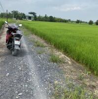 Đất lúa 1335m2 xã Phước Đông mt đường đá xanh 3m giá hết sổ 800tr