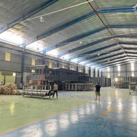 Cho Thuê Kho, Nhà Xưởng Từ 800m² Đến 8000m² Tại KCN An Đồn, Đầy Đủ Công Năng – Giá Chỉ Từ 50K/m²
