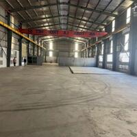 Cho Thuê Kho, Nhà Xưởng Từ 800m² Đến 8000m² Tại KCN An Đồn, Đầy Đủ Công Năng – Giá Chỉ Từ 50K/m²