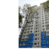 Cho Thuê căn hộ 155 Nguyễn Chí  Thanh Q.5  - 0908556812