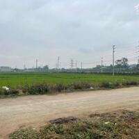 Bán B12 Mầm Non Kim Long B, Tam Dương, Vĩnh Phúc, giá : 2,12 tỷ