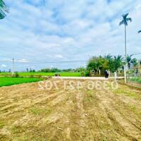 Độc quyền lô nhà vườn view lúa ngang 11m nở hậu cực đẹp ven TP Hội An