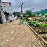 Bán đất Hà Lâm 2 xã Thuỵ Lâm Đông Anh 55.8m2 đường ô tô