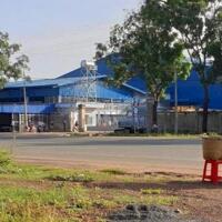 BÁN LÔ GỐC MT (20X100=1.600m2)FULL SHR ,GIÁ 250 TRIỆU SÁT KCN, TRƯỜNG CHỢ KHU Đ
