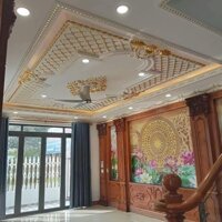 Bán biệt thự 2 lầu 1 trệt góc 2 mặt tiền 9.8 tỷ /154m2