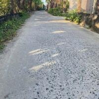 B.á.n nhà yến tại P.Long Thuận, TP Gò Công , Tiền Giang.