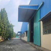 Bán nhà xưởng 6.600 m2 An Điền, Bến Cát, Bình Dương