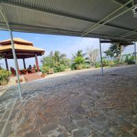 NHÀ VƯỜN SẦU RIÊNG VIP ĐẸP NHẤT HÀNG GÒN NGAY KHU DÂN CƯ GIÁ GẦN 1 TỶ/SÀO