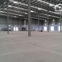Bán Nhà Xưởng Sản Xuất Dệt Nhuộm 15.000 M2 Trong Kcn Hải Sơn, Long An