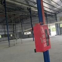 Cho Thuê Kho Quốc Lộ 80 Tân Hội, Vĩnh Long